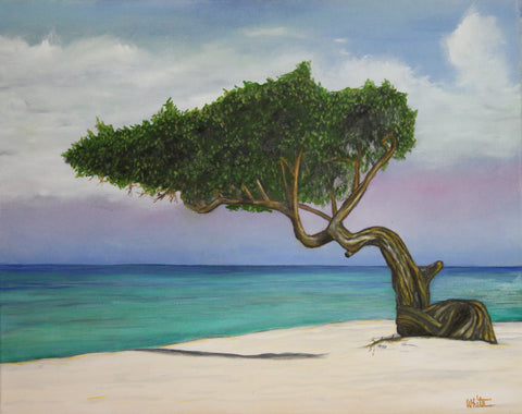 Aruba National Tree Giclee Canvas Print